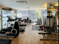 Sophia Residence (D9), Condominium #446682791